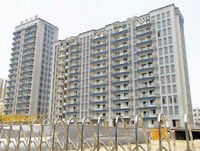 Stereoplasm galling tenacity main materials